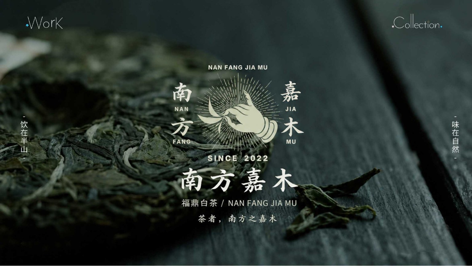 南方嘉木茶品牌主图